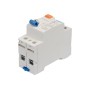 Interruttore Differenziale Bipolare Puro Tipo Ac 30Ma Chint Serie Nl1-63