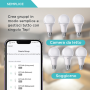 FSL Lampadina Smart LED E27 RGB+CCT Dimmerabile 10W Compatibile WiFi App