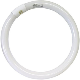 Lampadina Circolare Trifosforo Fluorescente Luce Bianca 6500K