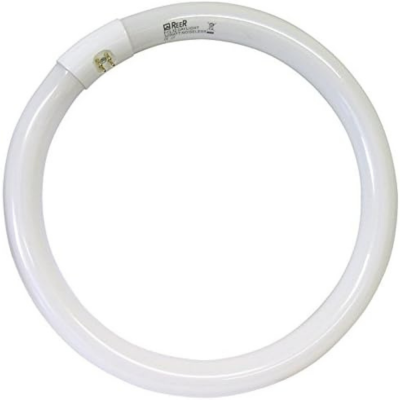Lampadina Circolare Trifosforo Fluorescente Luce Bianca 6500K