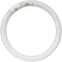 Lampadina Circolare Trifosforo Fluorescente Luce Bianca 6500K