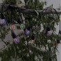 Ledme Ghirlanda Led Solare 3W Con 10 Lampadine E27 Da Esterno Ip65 Rgb