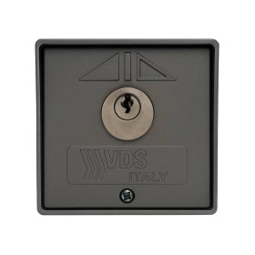 Vds 198/2 Selettore da Parete con Chiave in Alluminio Alta Sicurezza Grigio