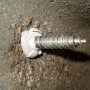 Vaschetta 500 tasselli stop T6/VA 6x30 mm con Forbici in Omaggio ELEMATIC 