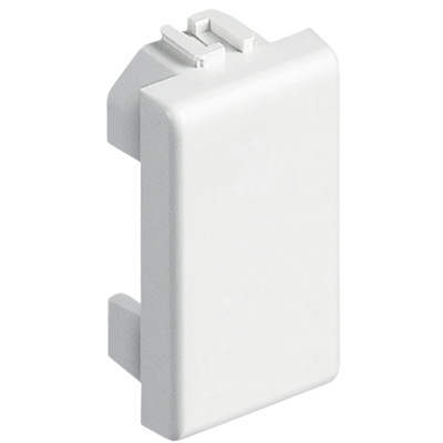 Biesse Falso Polo Copriforo Adattatore 1 Modulo Compatibile Bticino Matix AM5000