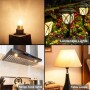 Lampadina Alogena G4 12V 20W Wimex Luce Calda Per Illuminazione