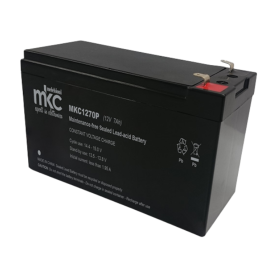 Batteria Piombo 12 Volt 7 Ampere Ricaricabile