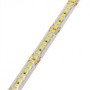 Optonica Striscia LED 2835 24V IP65 20W/m 196 LED/m Impermeabile Bobina da  5 mt Dimmerabile