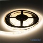 Optonica Striscia LED 2835 24V IP65 20W/m 196 LED/m Impermeabile Bobina da  5 mt Dimmerabile
