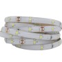 Striscia Led Optonica 2835 Professionale Impermeabile Dimmerabile 5M