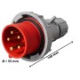 Spina Industriale Ecova Ip67 3P+N+T 415V Resistente E Sicura