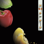 Striscia LED  Alimenti  18 Watt Metro 120 LED Metro 24 Volt IP65 Ledco