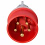 Ecova Spina Industriale Trifase Rossa IP44 3P+N+T Per Cantieri