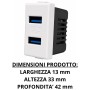 Doppia Presa USB Da Incasso Per Ricarica Rapida E Ordinata