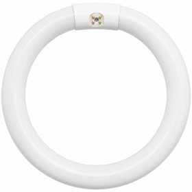 Tubo Fluorescente Circolare T9 Trifosforo 6500K Per Illuminazione Ottimale