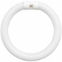 Tubo Fluorescente Circolare T9 Trifosforo 6500K Per Illuminazione Ottimale