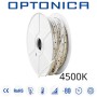 Striscia LED 220V c.a. IP65 Bianco neutro 4500K LED SMD Dimmerabile 25.000h al Metro