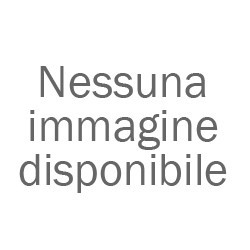 Telecamera 1080P WI-FI  Batteria da Esterno Proxe
