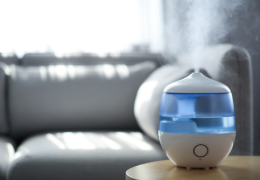 Come Scegliere il Miglior Umidificatore per l’Inverno: Combatti l’Aria Secca e Proteggi la Tua Salute